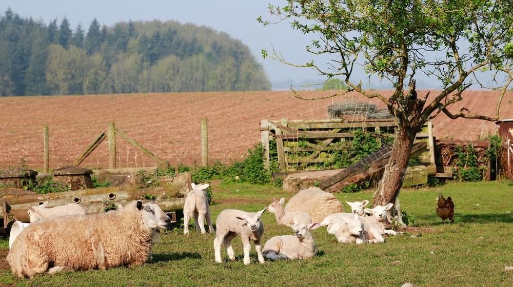 Villa Huntlands Farm Bed&Breakfast Bromyard Exterior foto